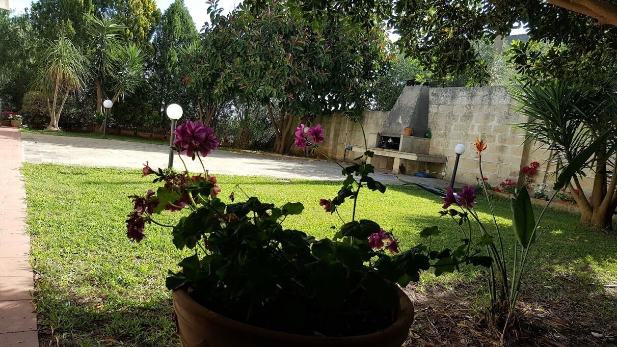Photo of Outdoor in Martano
