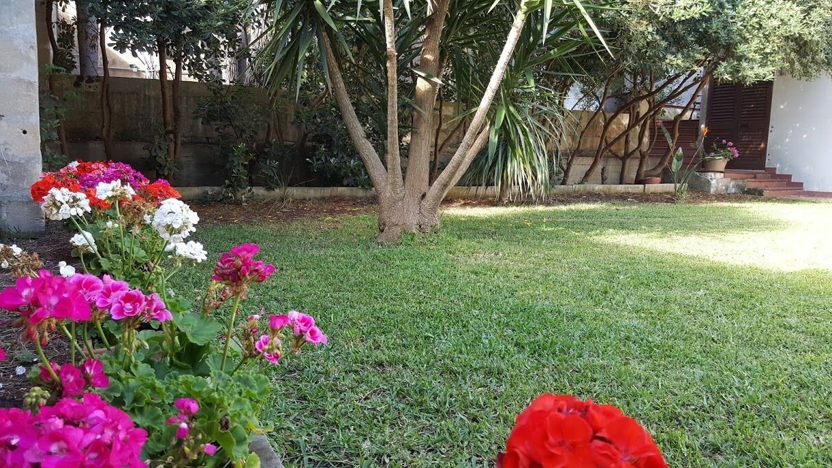 Photo of Outdoor in Martano