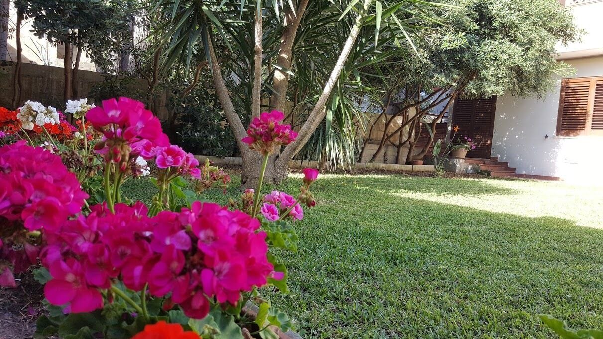 Photo of Outdoor in Martano