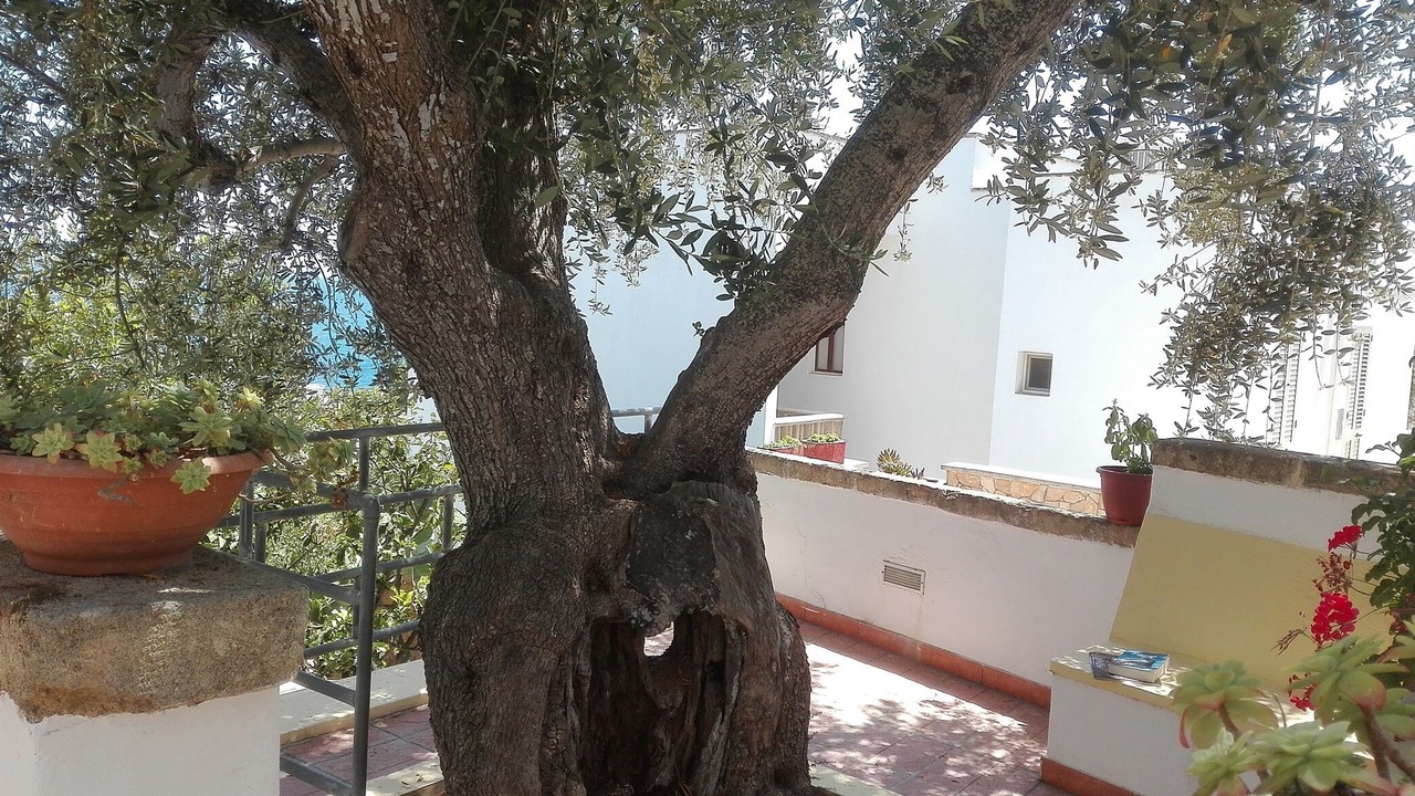 Photo of Outdoor in Marina di Andrano