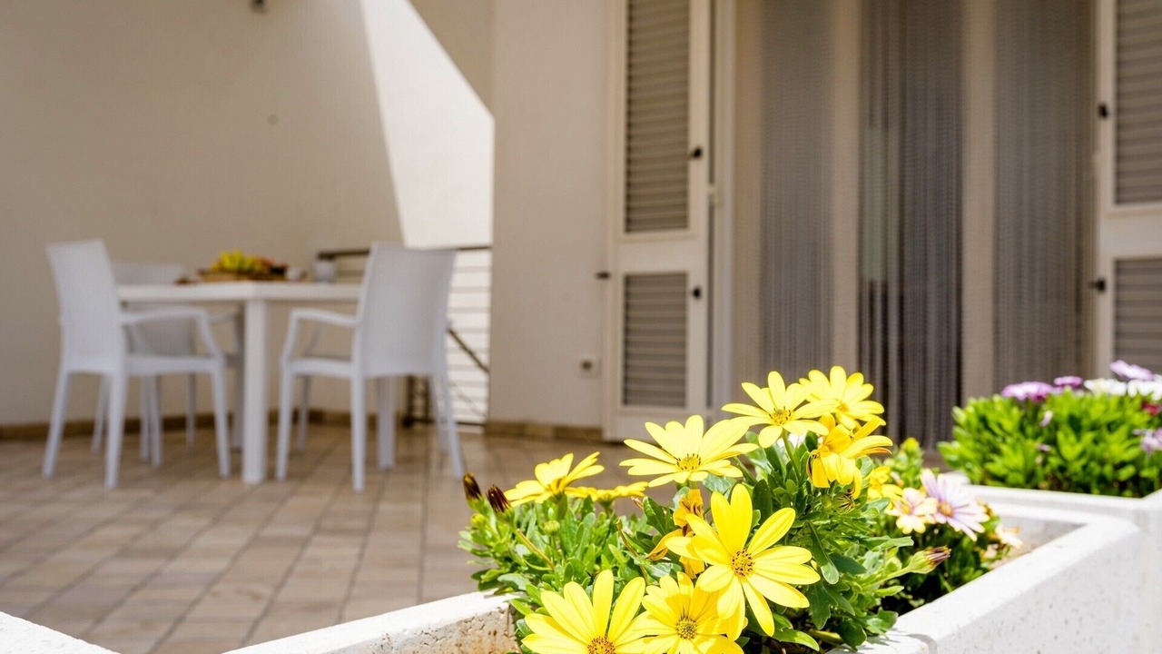 Photo of Outdoor in Posto Vecchio
