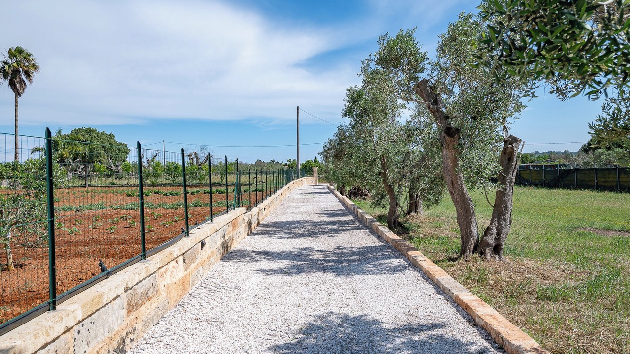 Photo of Outdoor in Tricase