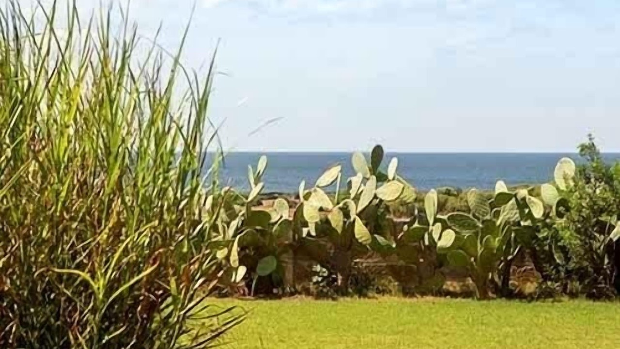 Photo of Outdoor in Nardo