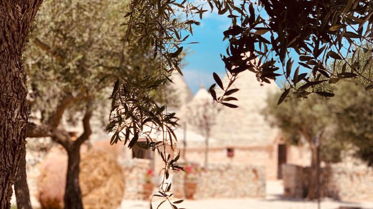 Photo of Outdoor in Alberobello