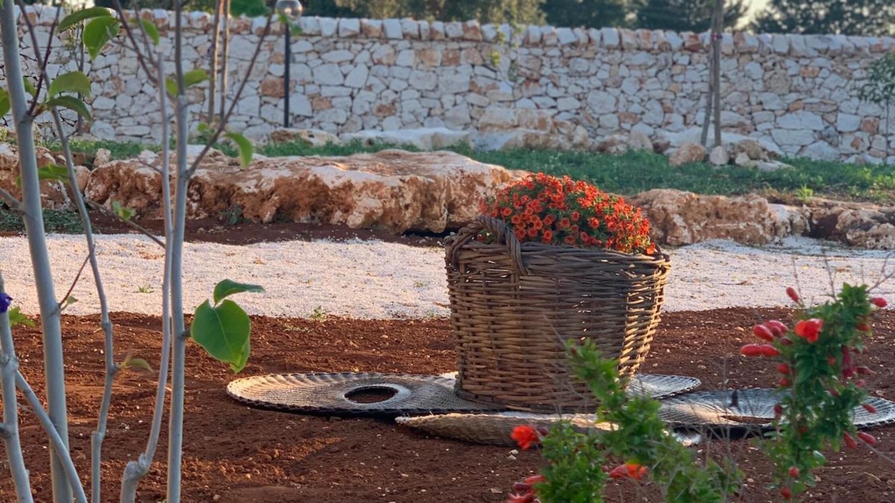 Photo of Outdoor in Alberobello