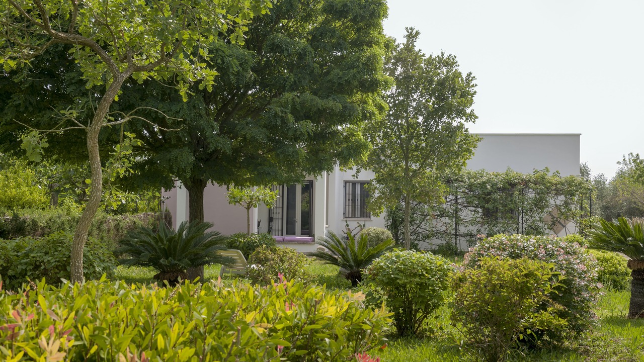 Photo of Outdoor in Ortelle