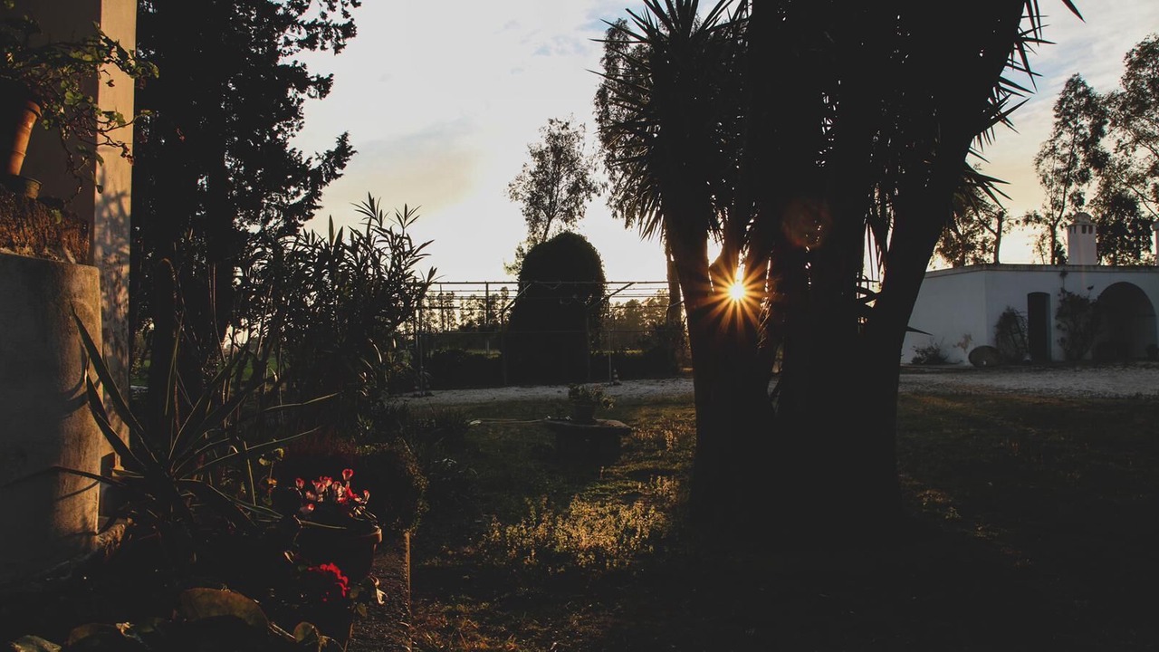 Photo of Outdoor in Castellaneta