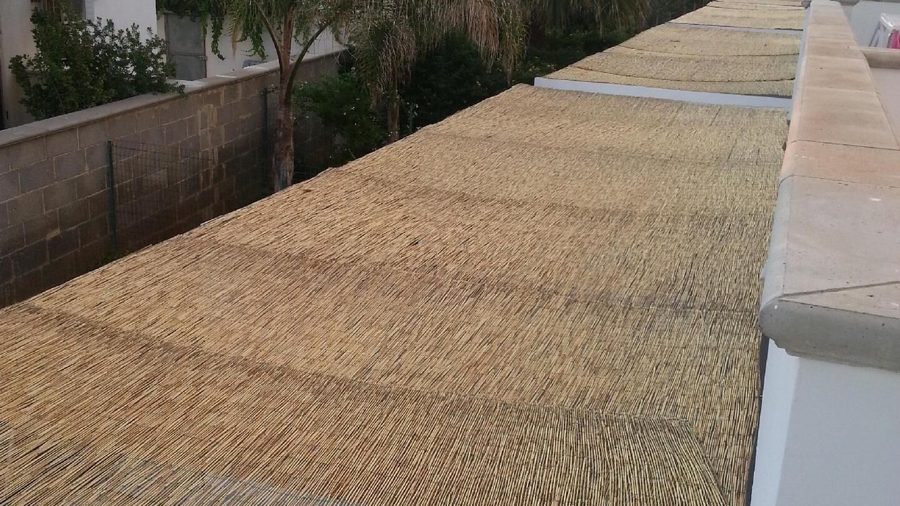 Photo of Outdoor in Torre Mozza