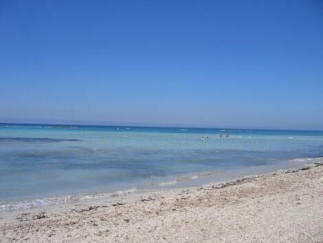 Photo of Others in Torre Mozza
