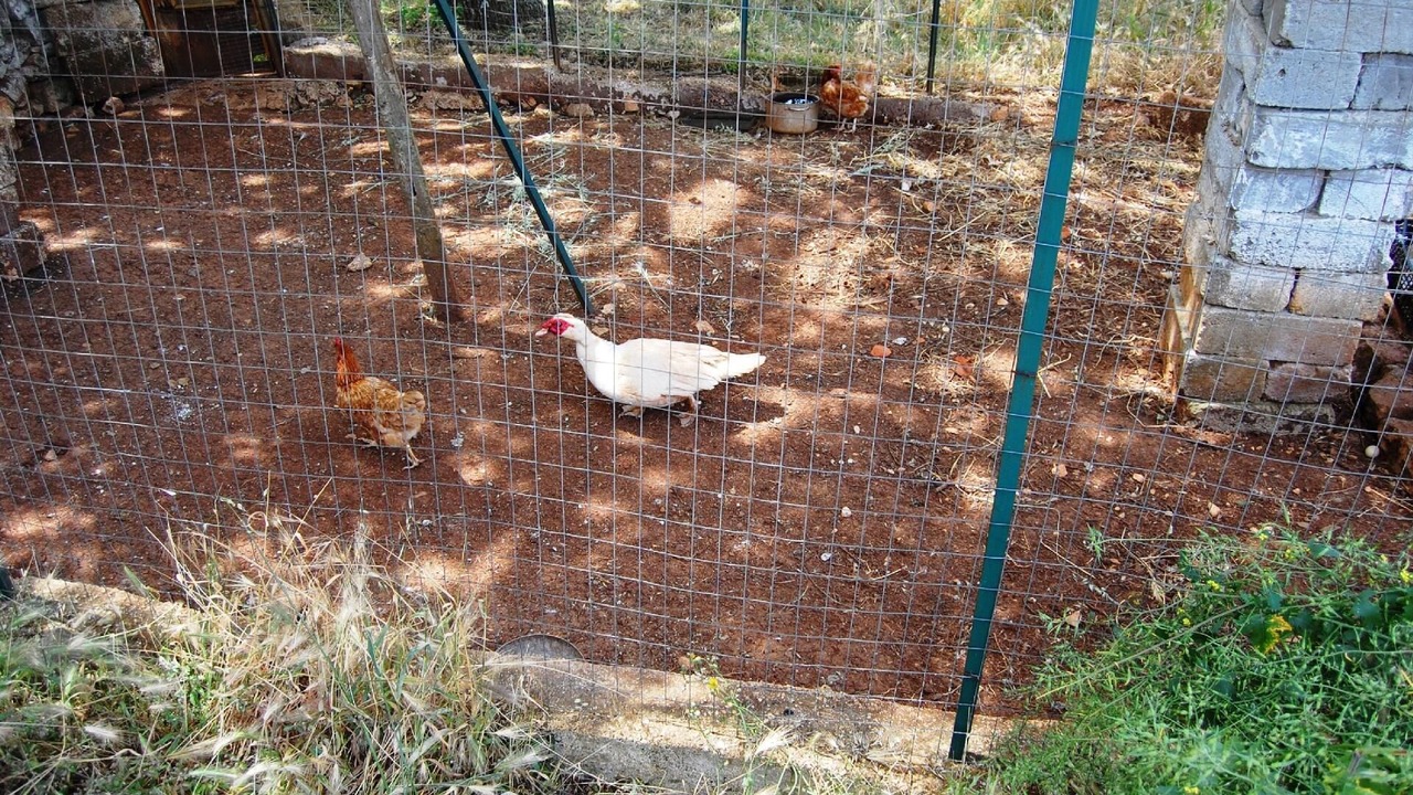 Photo of Outdoor in Casalini