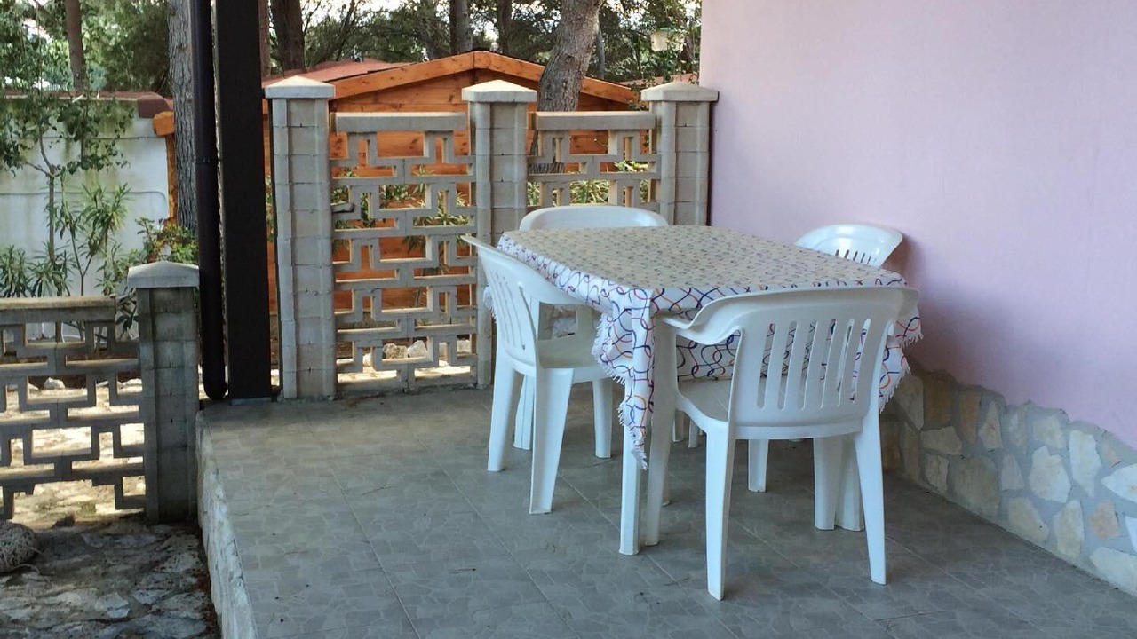 Photo of Others in Defensola