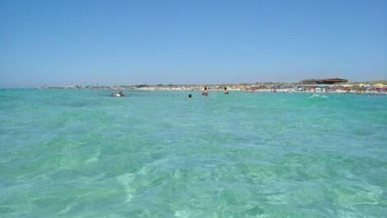 Photo of Others in Torre Mozza