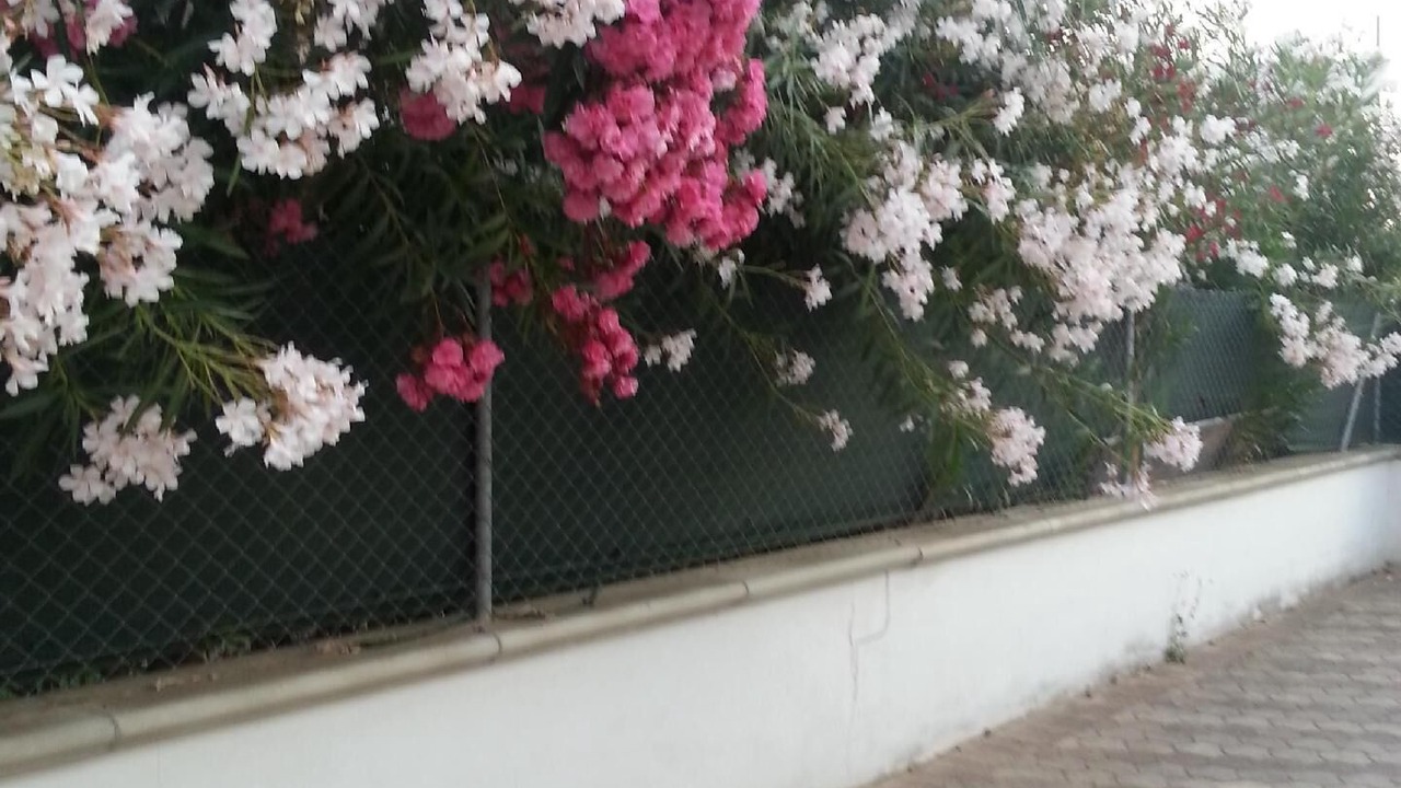 Photo of Outdoor in Torre Mozza