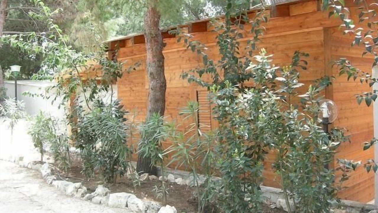 Photo of Outdoor in Defensola