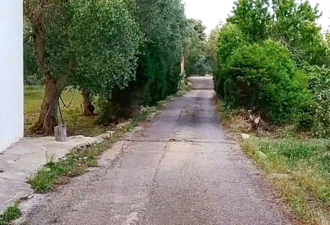 Photo of Outdoor in Scala di Furno