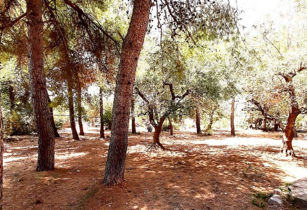 Photo of Outdoor in Scala di Furno