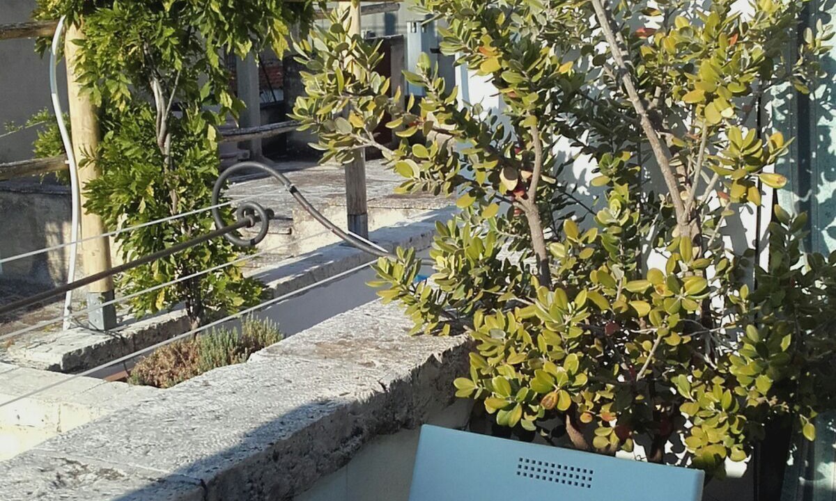 Photo of Others in Conversano