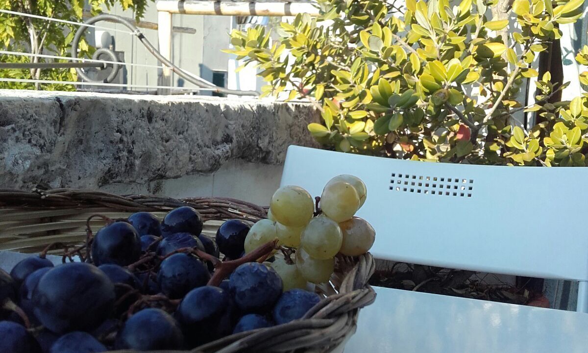 Photo of Others in Conversano