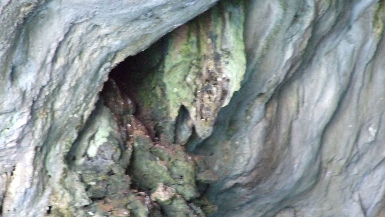 Photo of Others in Santa Maria di Leuca