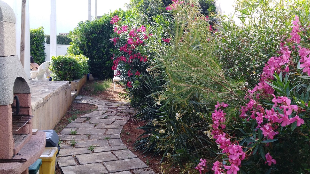 Photo of Outdoor in Torre Suda