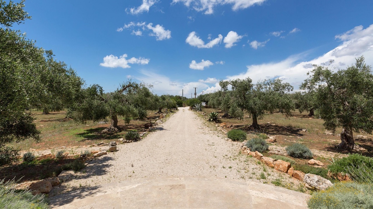 Photo of Outdoor in Ugento
