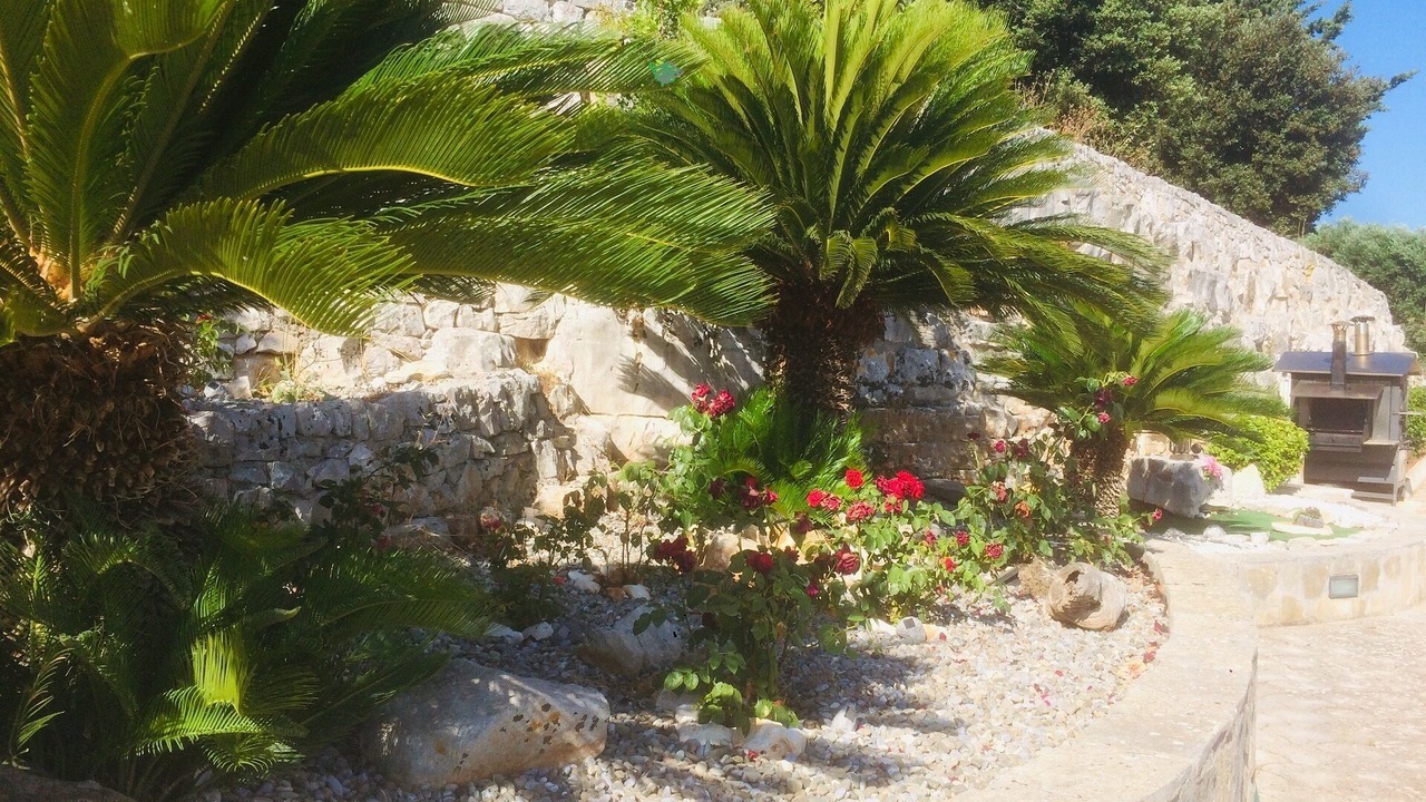 Photo of Outdoor in Cozzana