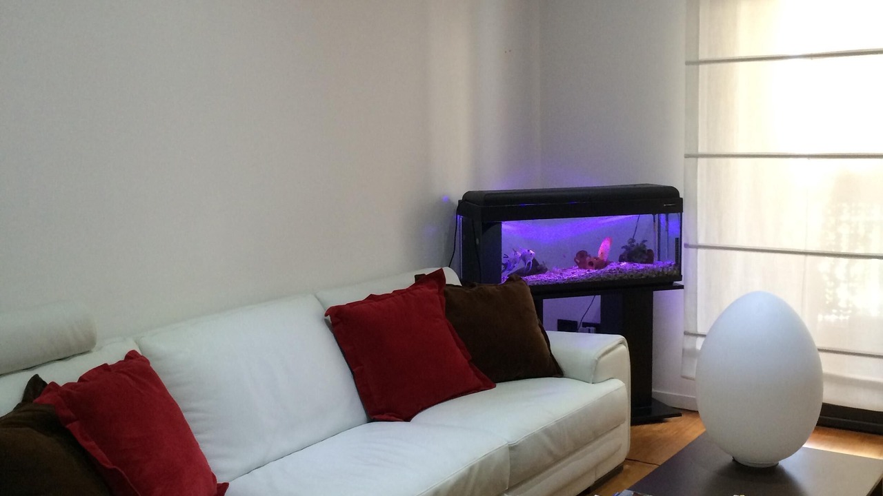 Photo of Livingroom in Municipio 1