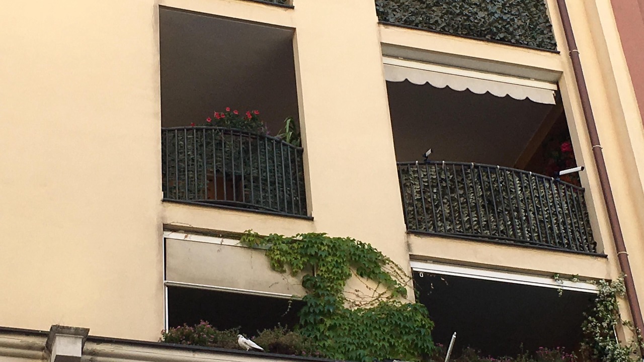 Photo of Outdoor in Municipio 1