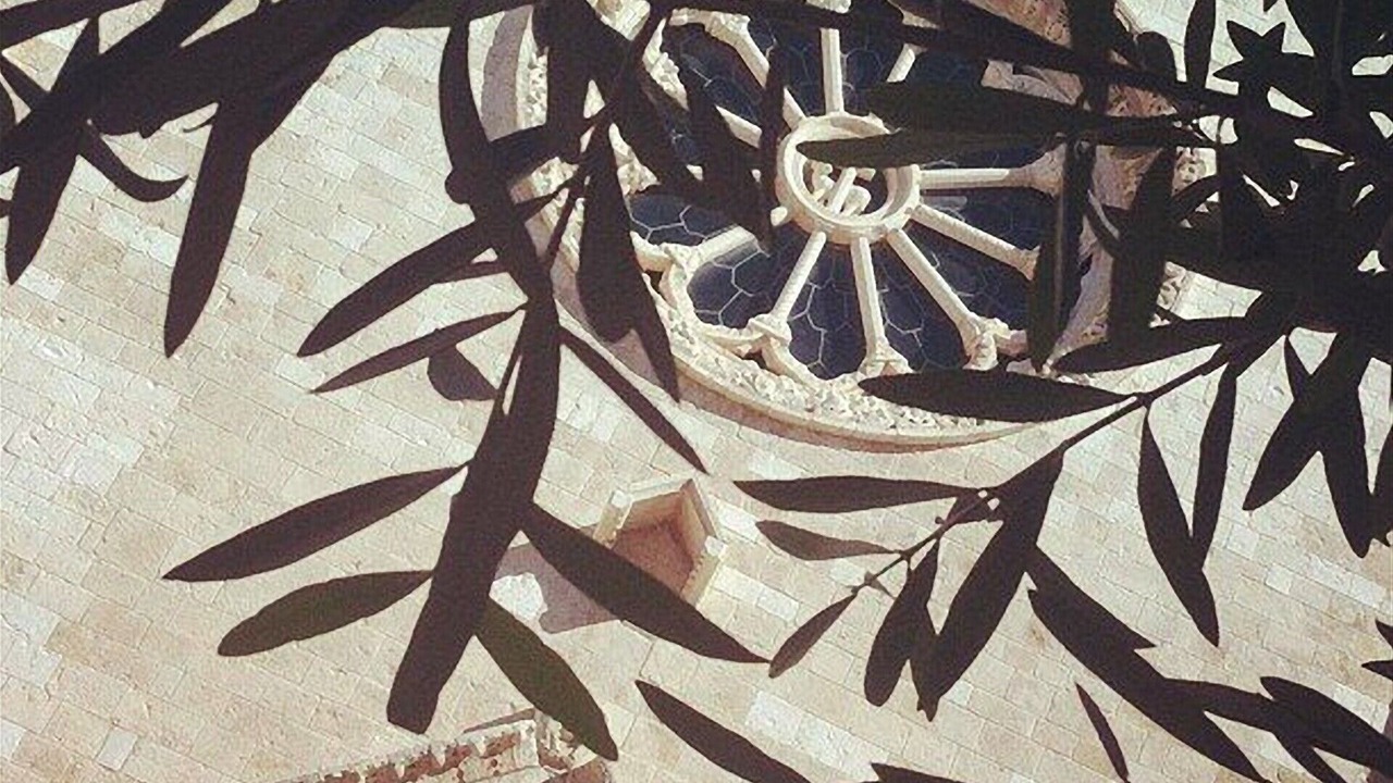 Photo of Outdoor in Conversano