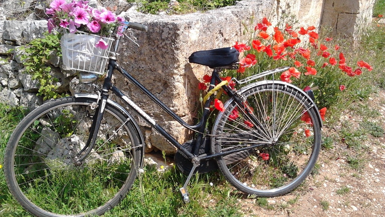 Photo of Outdoor in Conversano