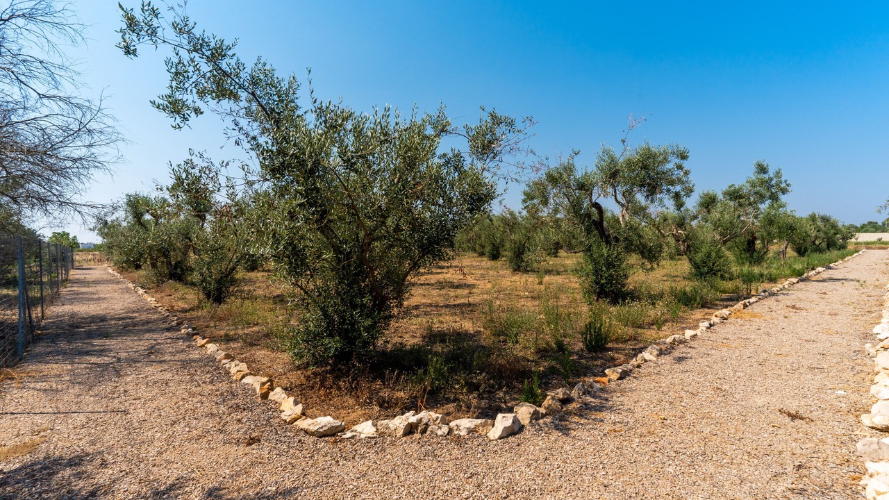 Photo of Outdoor in Matino