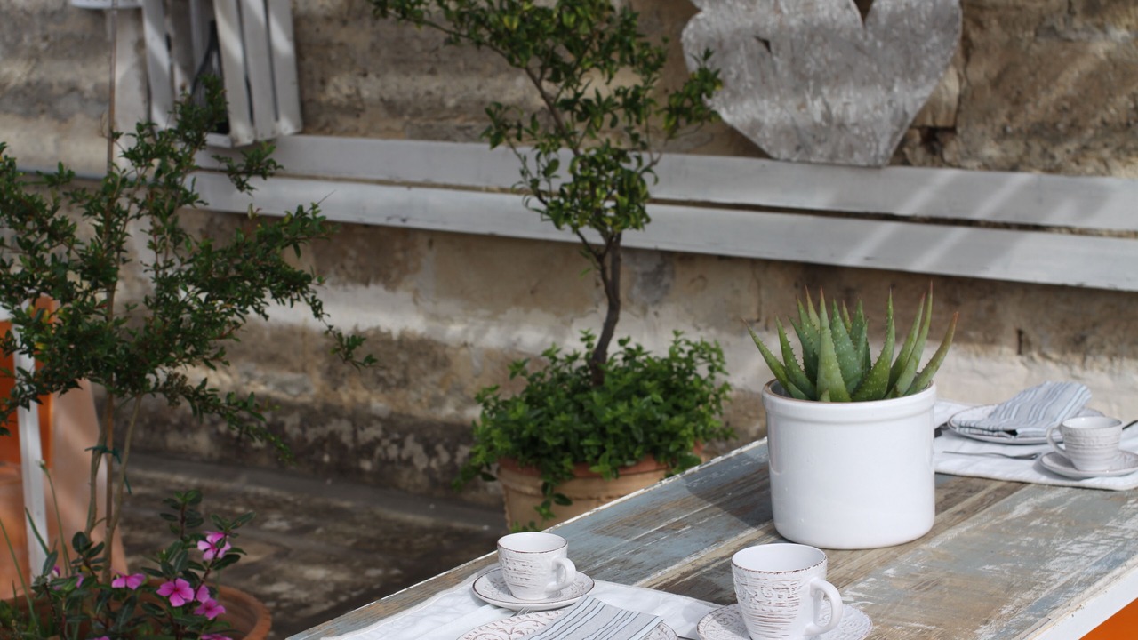 Photo of Outdoor in Lecce Historic Center