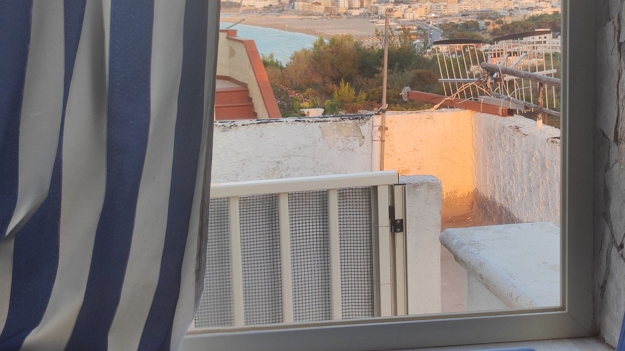 Photo of Others in Defensola