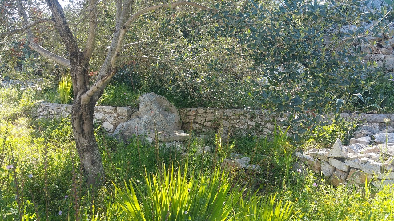 Photo of Outdoor in Marina di Novaglie