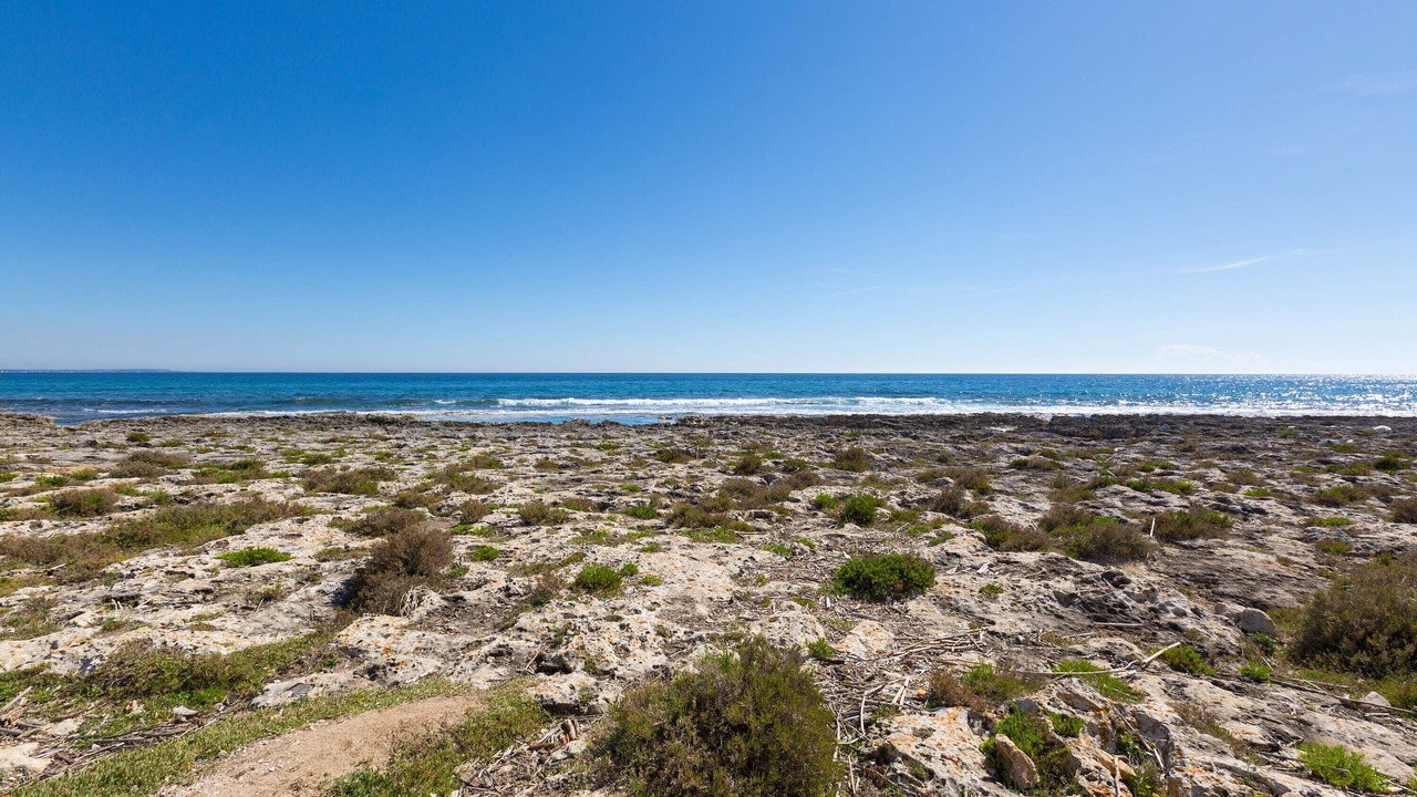 Photo of Others in Torre Lapillo
