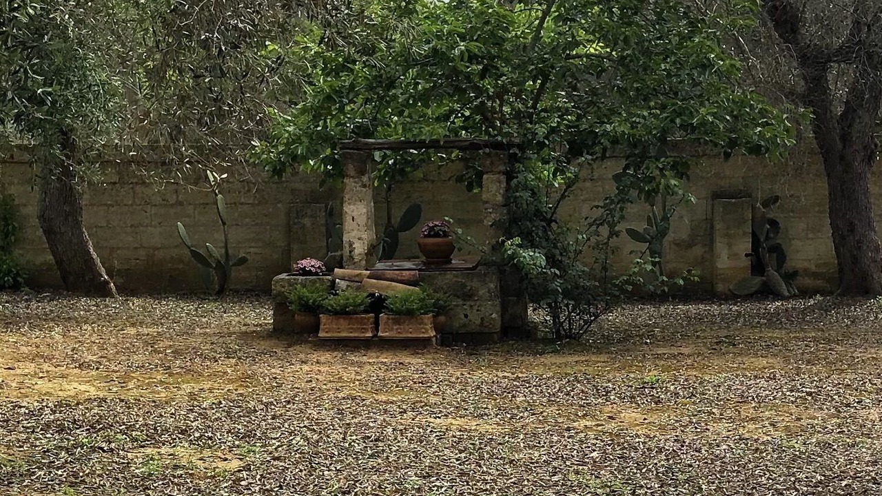 Photo of Outdoor in Specchia