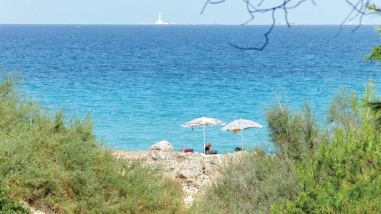 Photo of Others in Cisternino