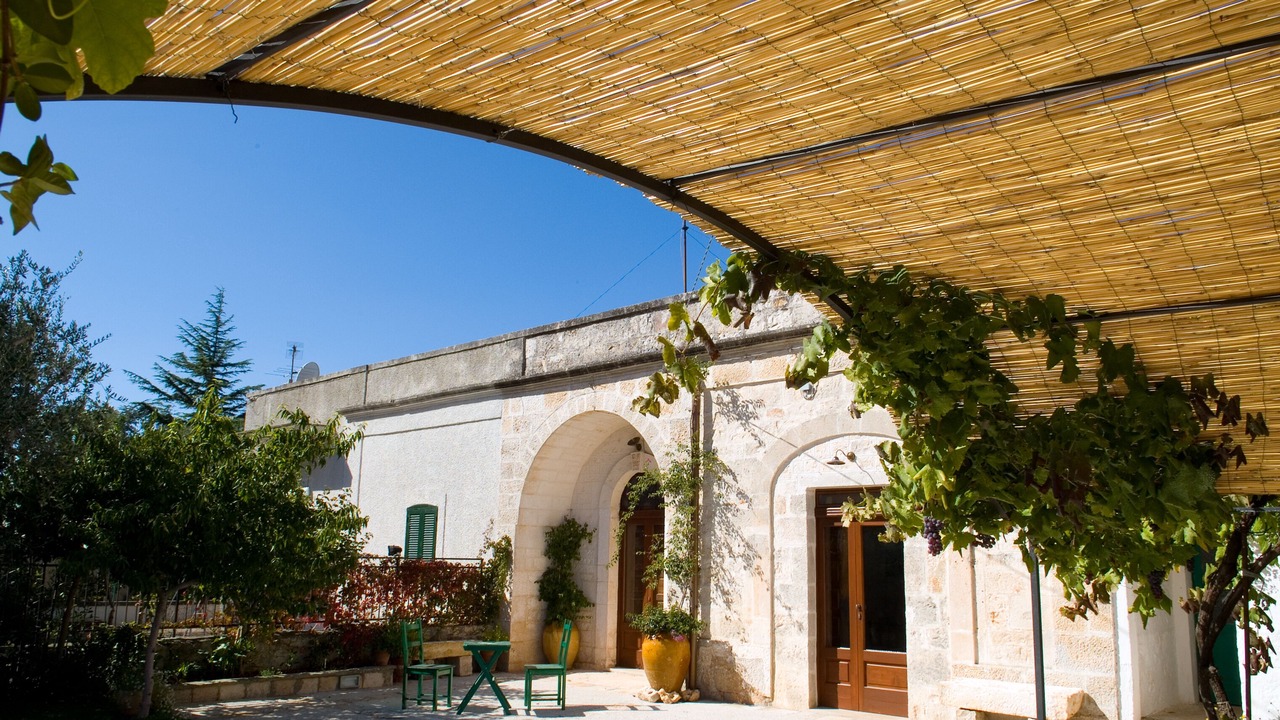 Photo of Others in Cisternino