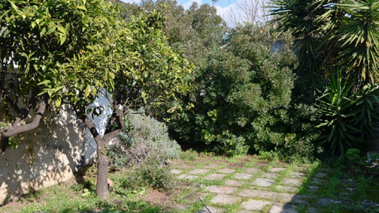 Photo of Outdoor in Torre Suda
