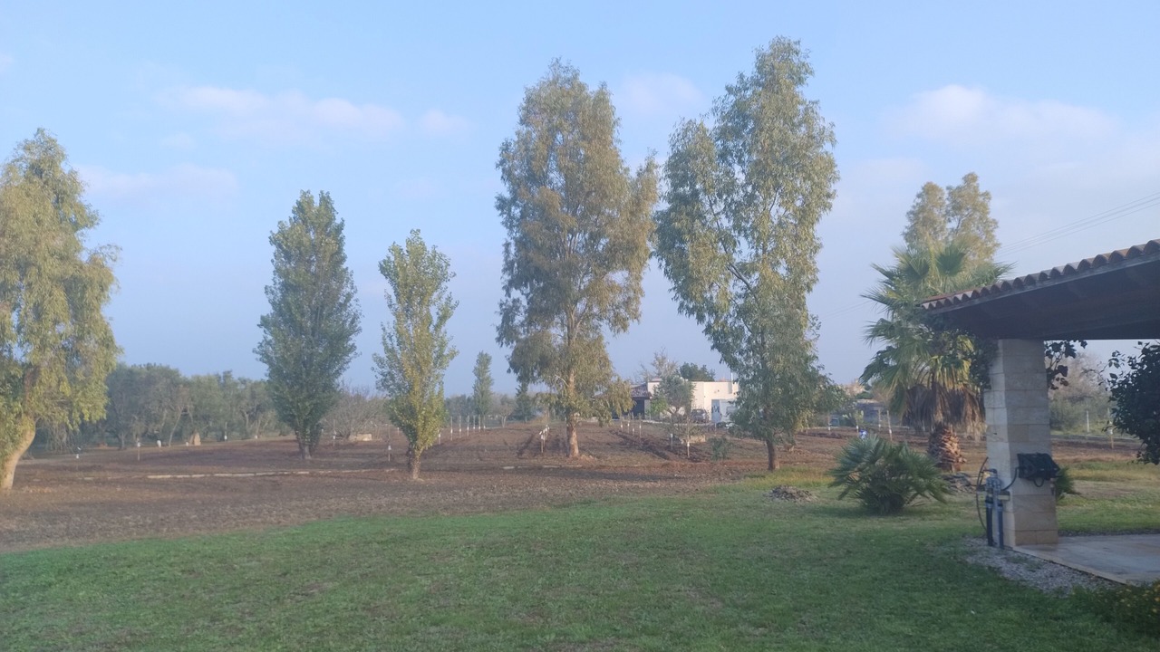 Photo of Others in Cutrofiano
