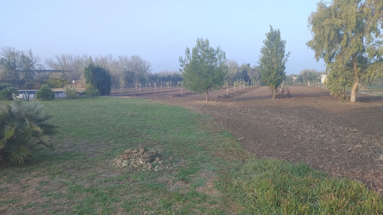 Photo of Others in Cutrofiano