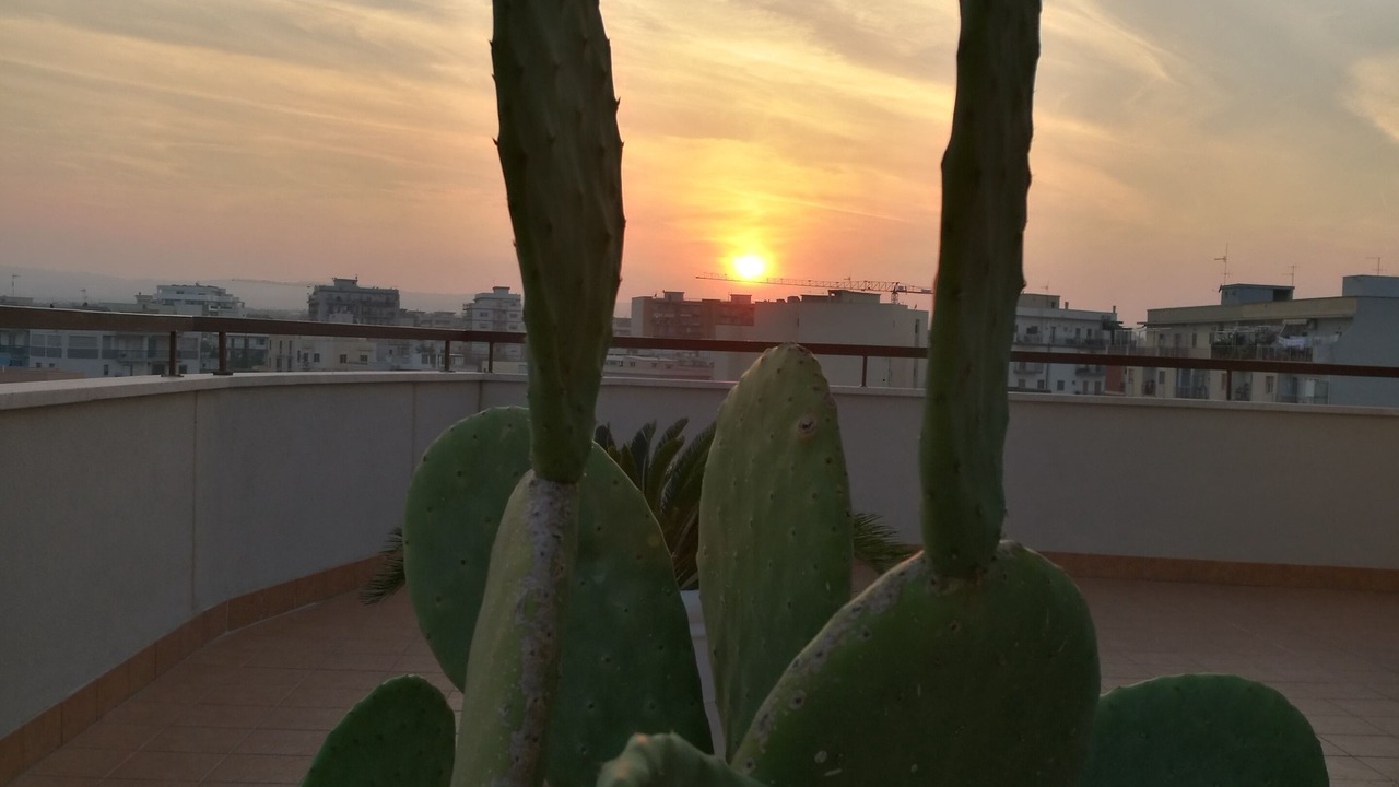 Photo of Outdoor in Monopoli