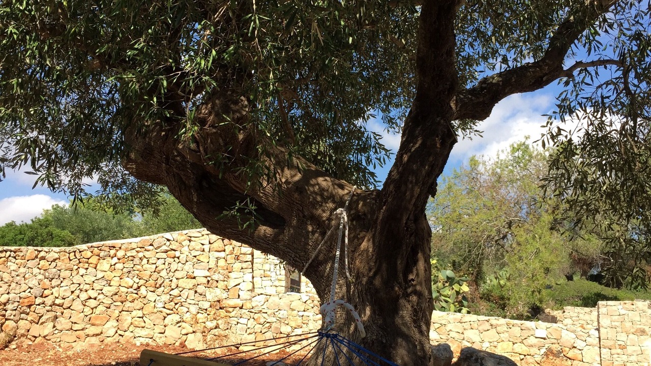 Photo of Outdoor in Patu