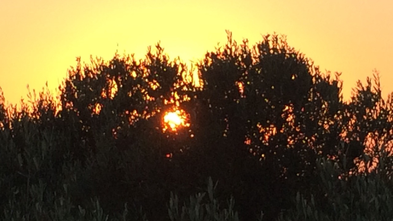 Photo of Outdoor in Patu