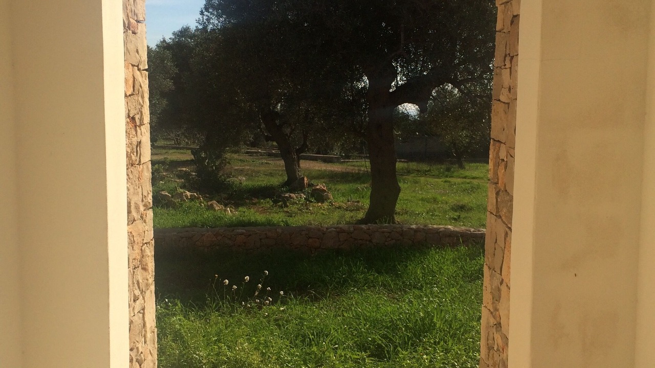 Photo of Others in Patu