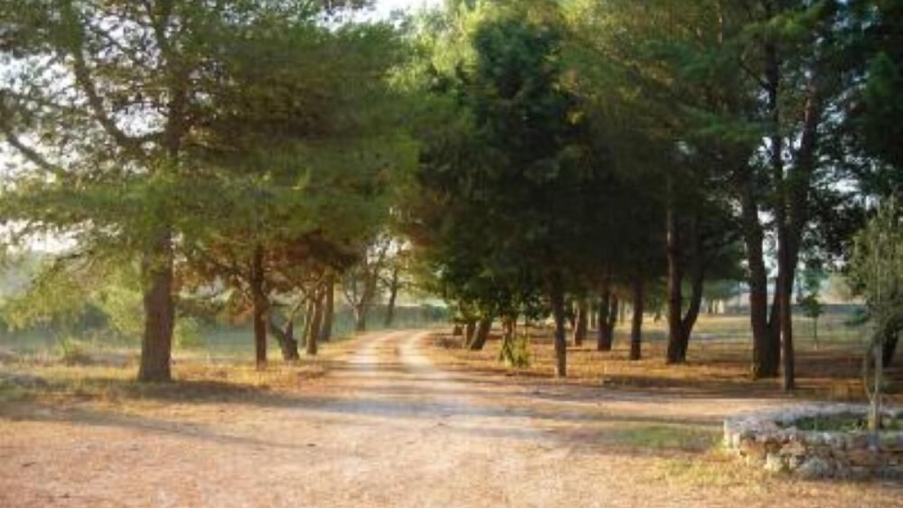 Photo of Outdoor in Vignacastrisi