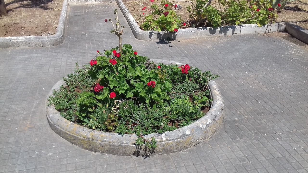 Photo of Outdoor in Martignano