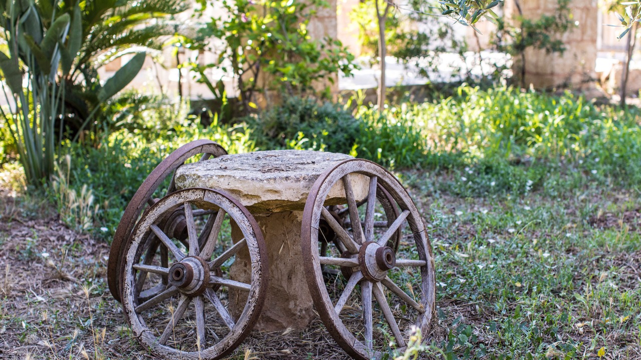 Photo of Outdoor in Torre Suda