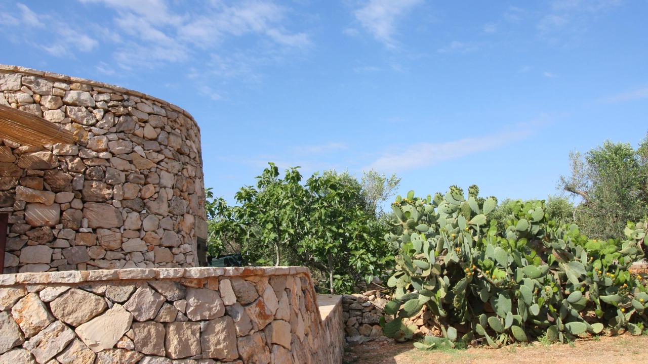 Photo of Outdoor in Taviano