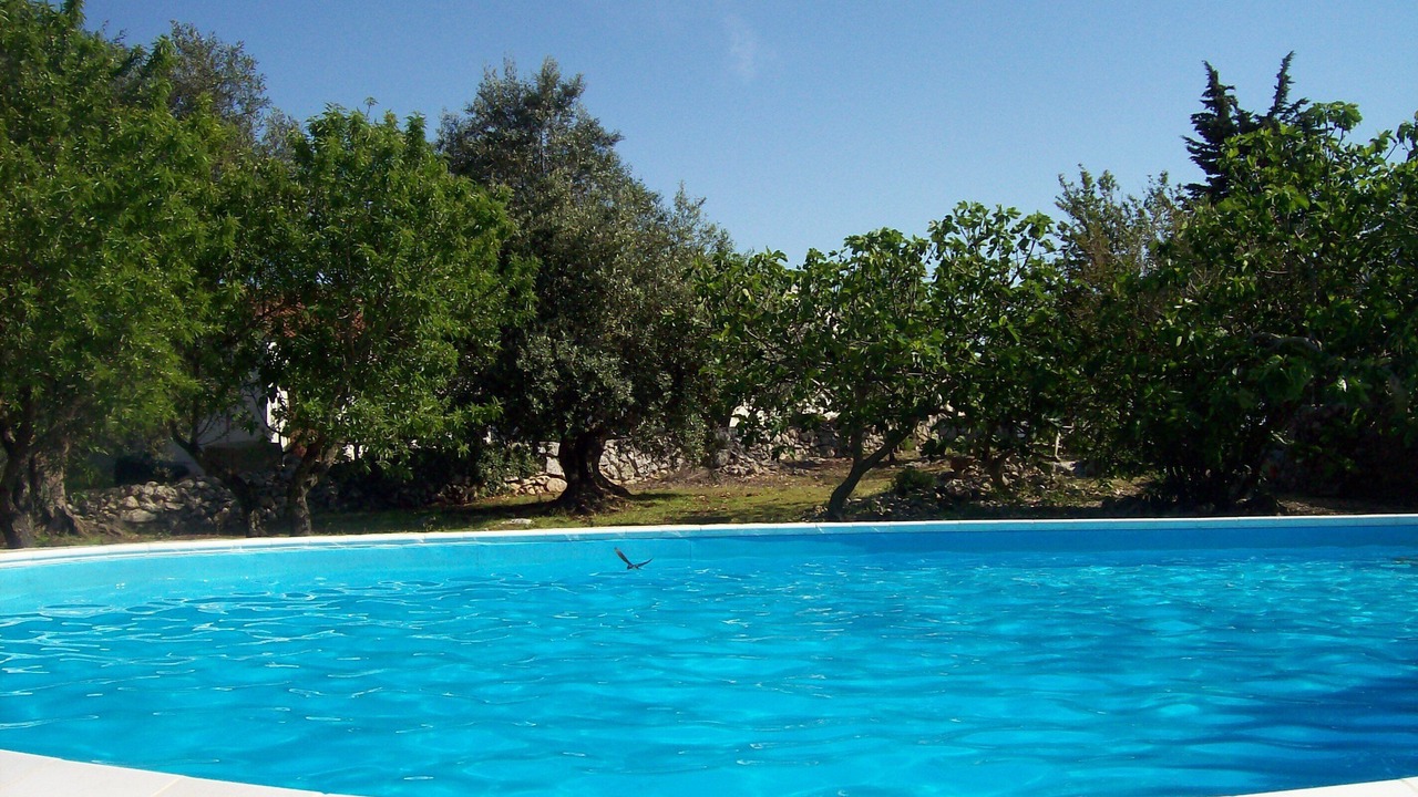 Photo of Outdoor in Cisternino